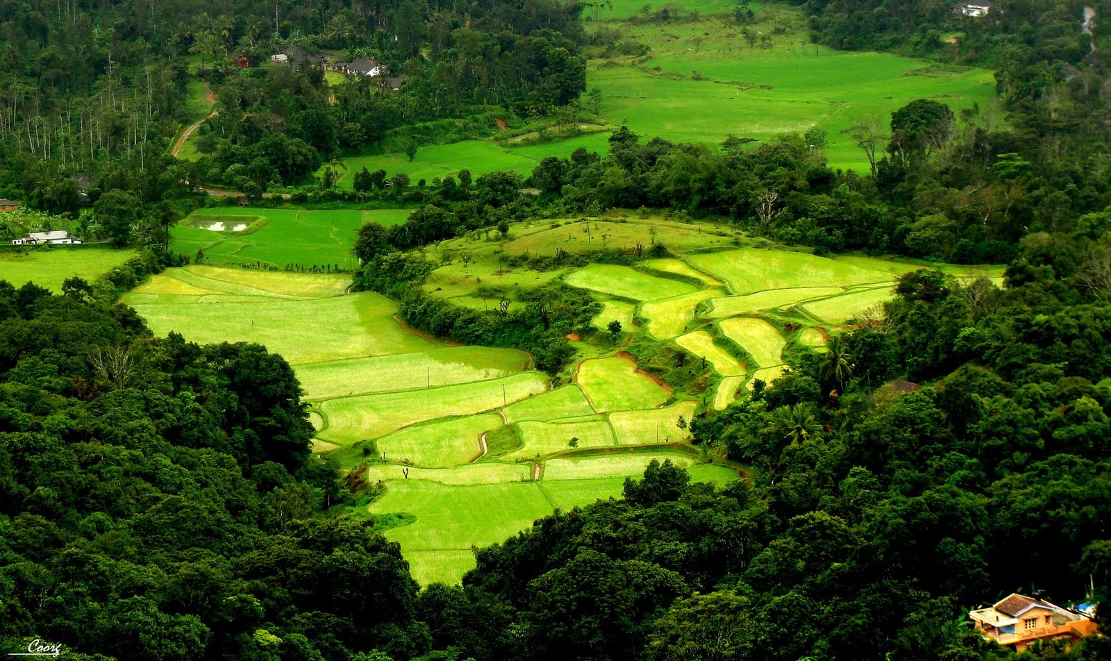 Coorg trekking trail