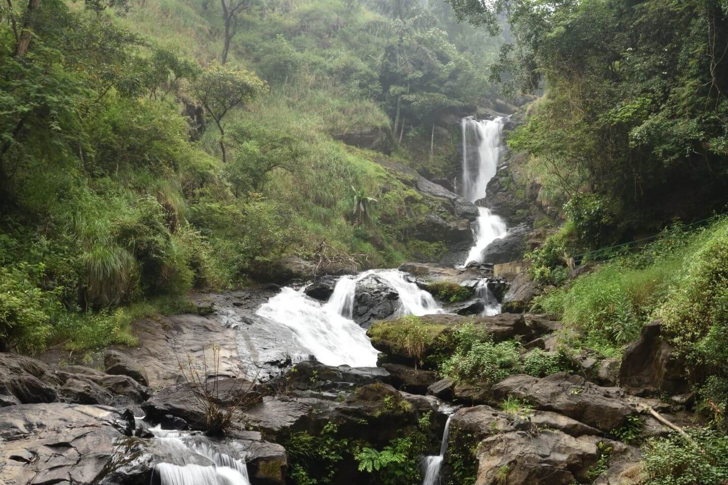 Iruppu Falls amid Coorg forests