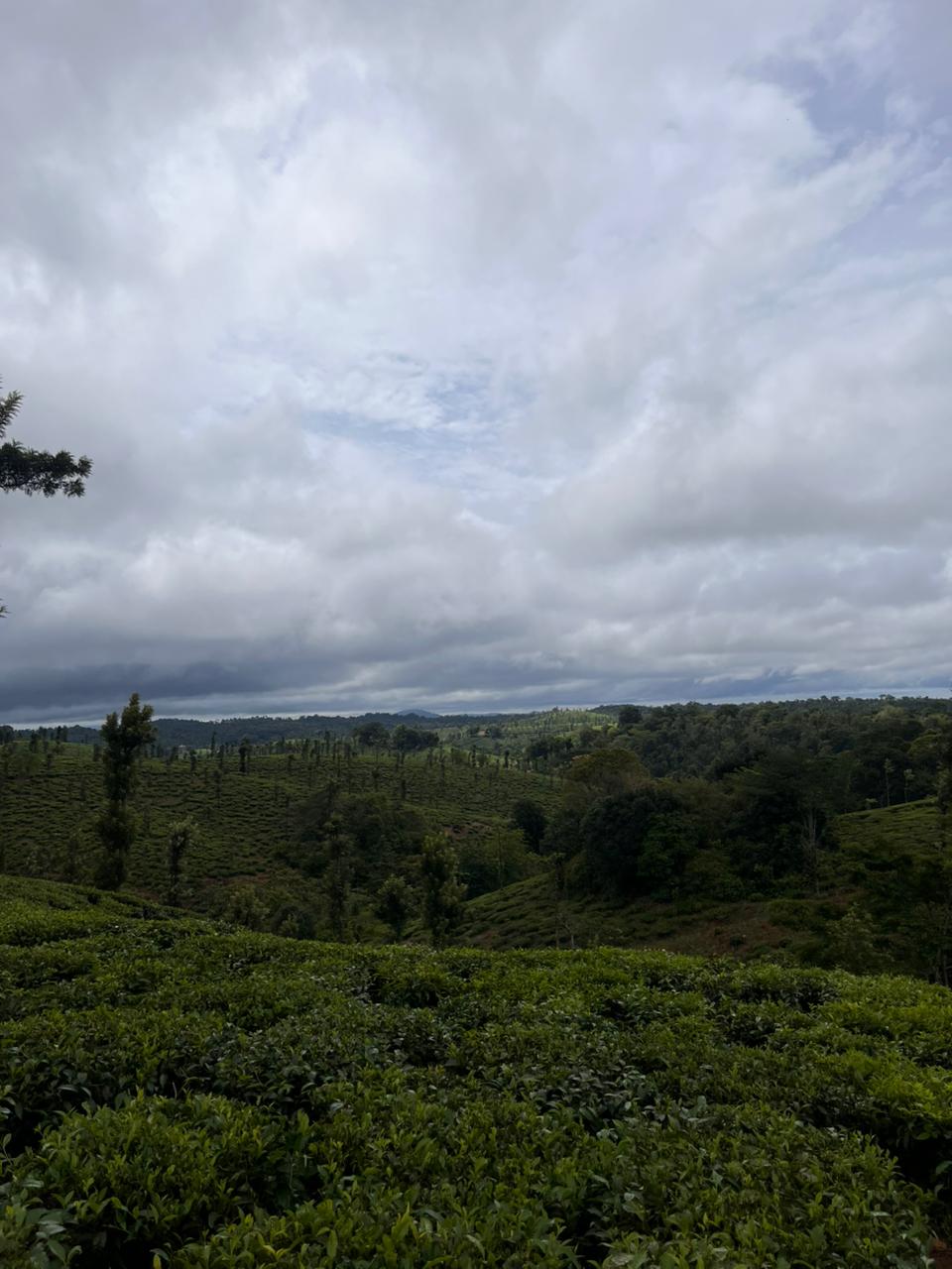 Coorg trek moment captured on the trail